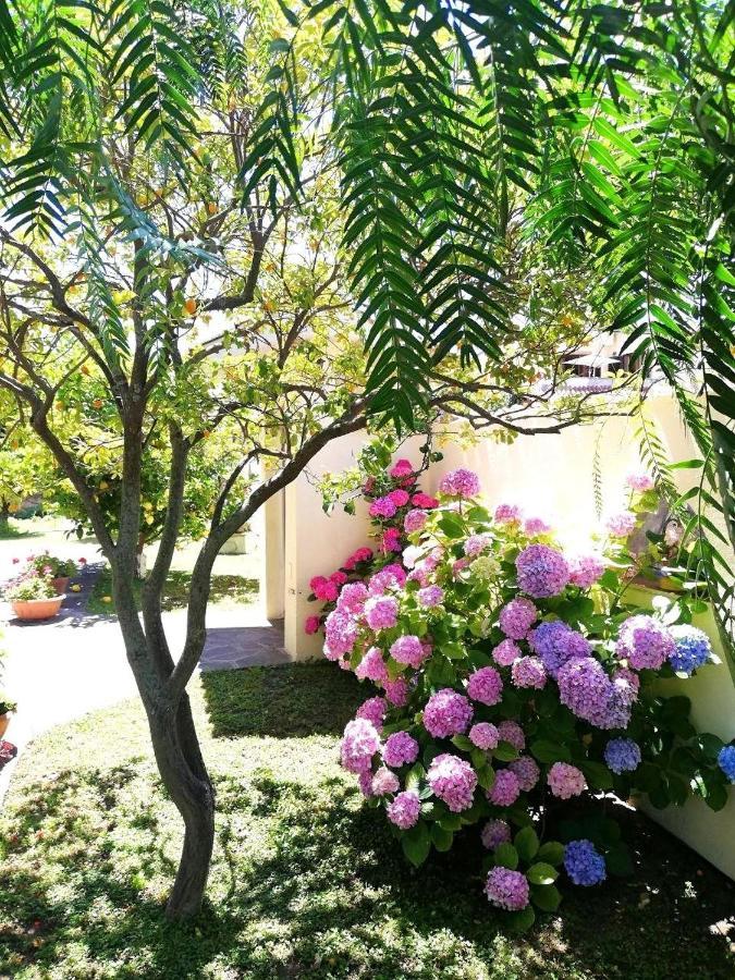 菲乌米奇诺A Casa Di Iole公寓 外观 照片
